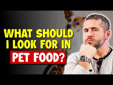 What Should I Look For In Pet Food?