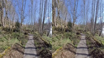 Insta360 EVO VR180 to 3D HSBS conversion