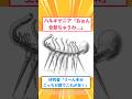 【2ch面白いスレ】ハルキゲニア「おぉん全部ちゃうわ...」#2ch#2ch面白いスレ#2ちゃんねる