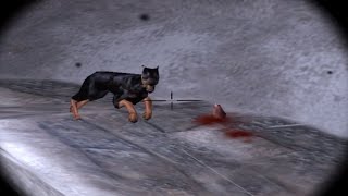 Bomb Dogs in Iron Storm | FIRST APPEARANCE | 2002
