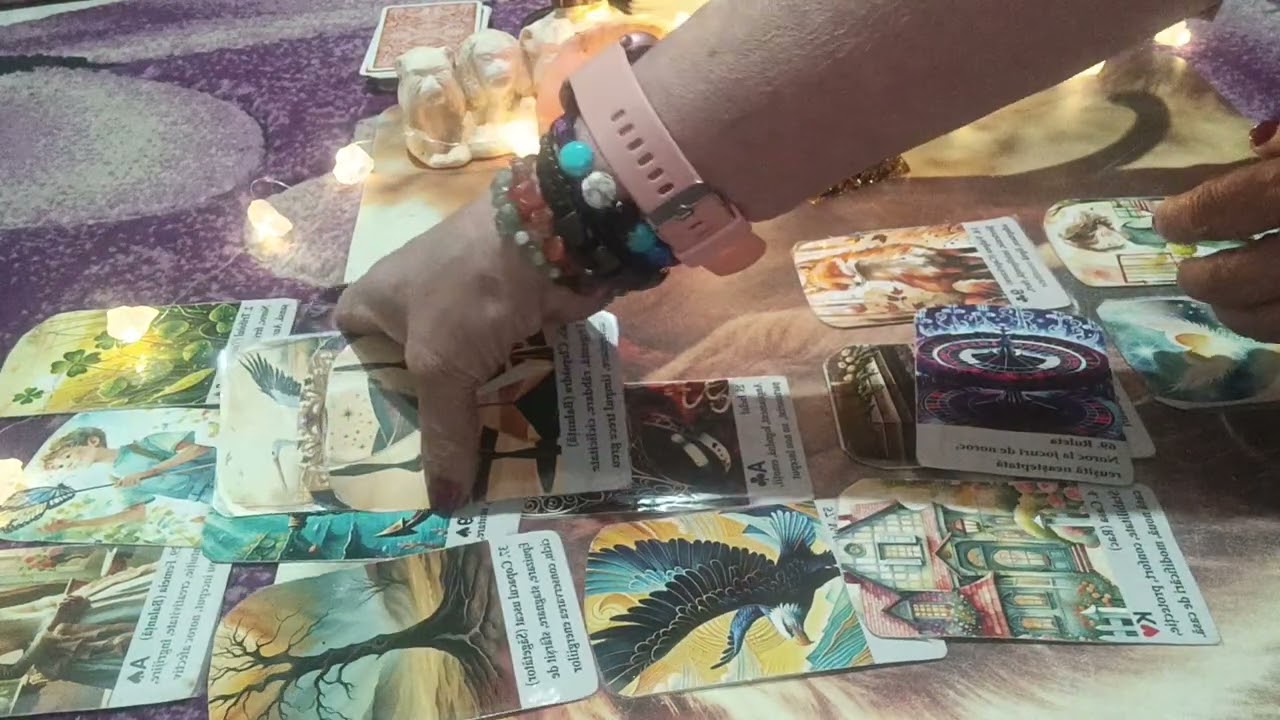 Taur 1-8 ! Februarie 2026!