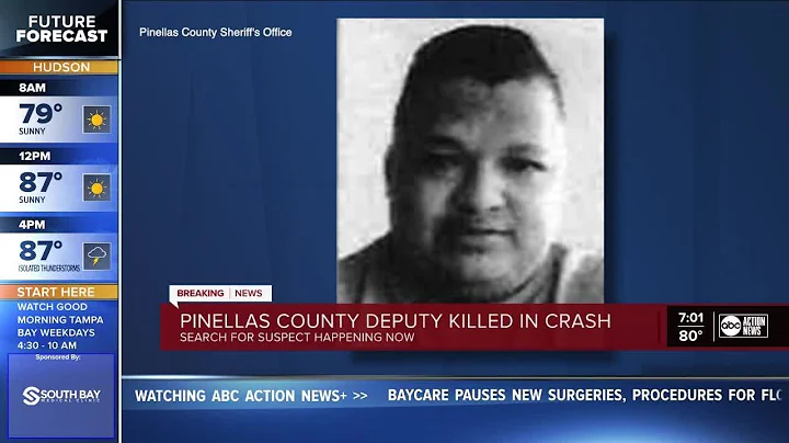 Pinellas deputy killed in hit-and-run on I-275; su...