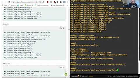 JPR-961 | MPLS | Traffic Engineering | Shared Risk Link Group | 5