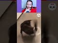 Funny Animal Videos 2026 😅 - Funniest Dogs and Cats Videos 😁 Part 9009