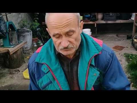 Сеем семена мезозойской