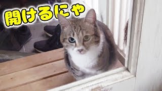 ぷーちゃん、遂に会話する...