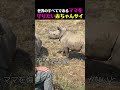 世界のすべてであるママを救いたい赤ちゃんサイの健気な姿に涙