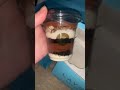 Sundae Love🤩🤤 #shorts #shortsvideo #shortvideos #viral