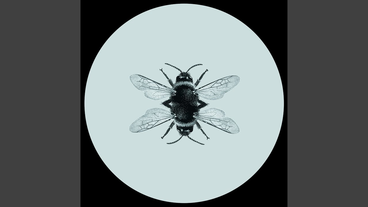 Bee adlı videoyu YouTube'da izle Bee adlı videoyu YouTube'da izle