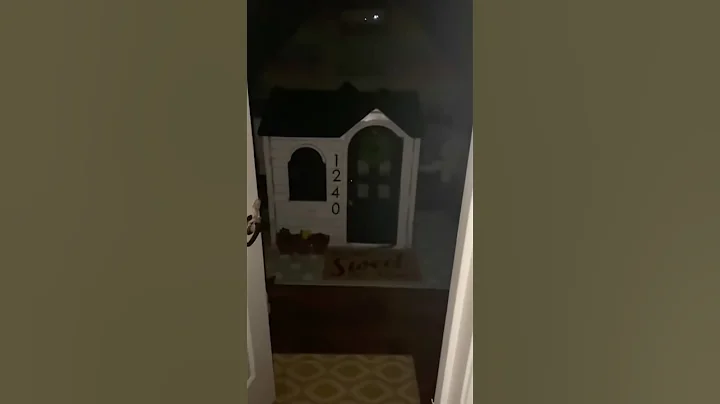 Something was hiding in the playhouse.. #horror
