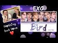 Reacting to EXO - Bird (and addressing all the negativity)