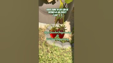 Alles in het leven kan worden gedefinieerd als een object (OOP 📚) #oop #klasse #object #attribuut...