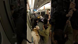 Train interactions with my dog!! #doglover #pets #viola #viral #dog #train #subway #metro #tube
