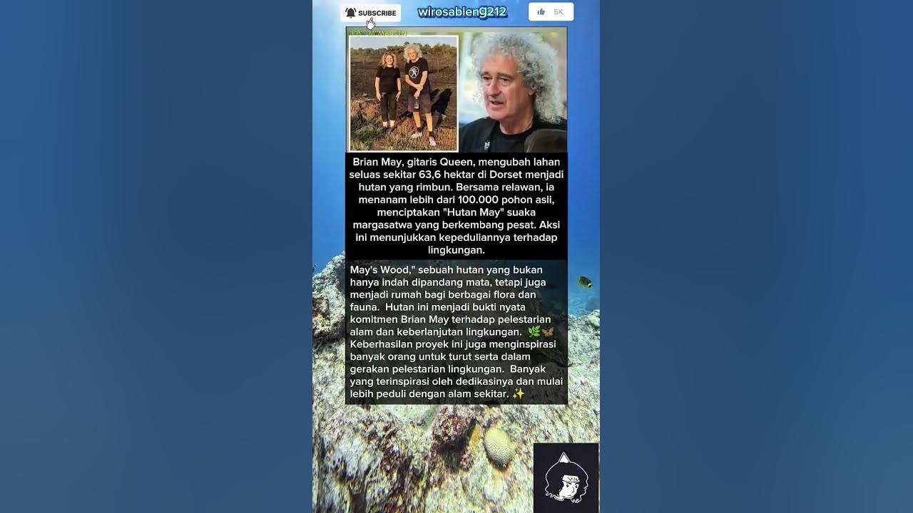 Brian May & Revolusi Hijau: Hutan 63 Hektar di Dorset © May’s Wood