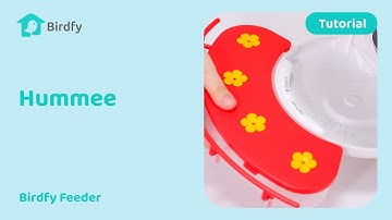 How to Assemble and Clean Your Hummee Extension - Birdfy Feeder Tutorial