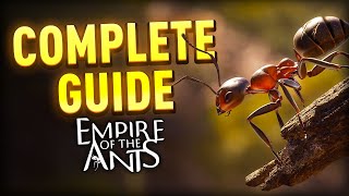 The Complete Empire Of The Ants Guide - Tips And Tricks Tutorial Net Worth