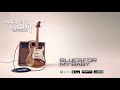 Walter Trout - Blues For My Baby (Blues For The Modern Daze) 2012