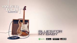 Miniatura de vídeo de "Walter Trout - Blues For My Baby (Blues For The Modern Daze) 2012"