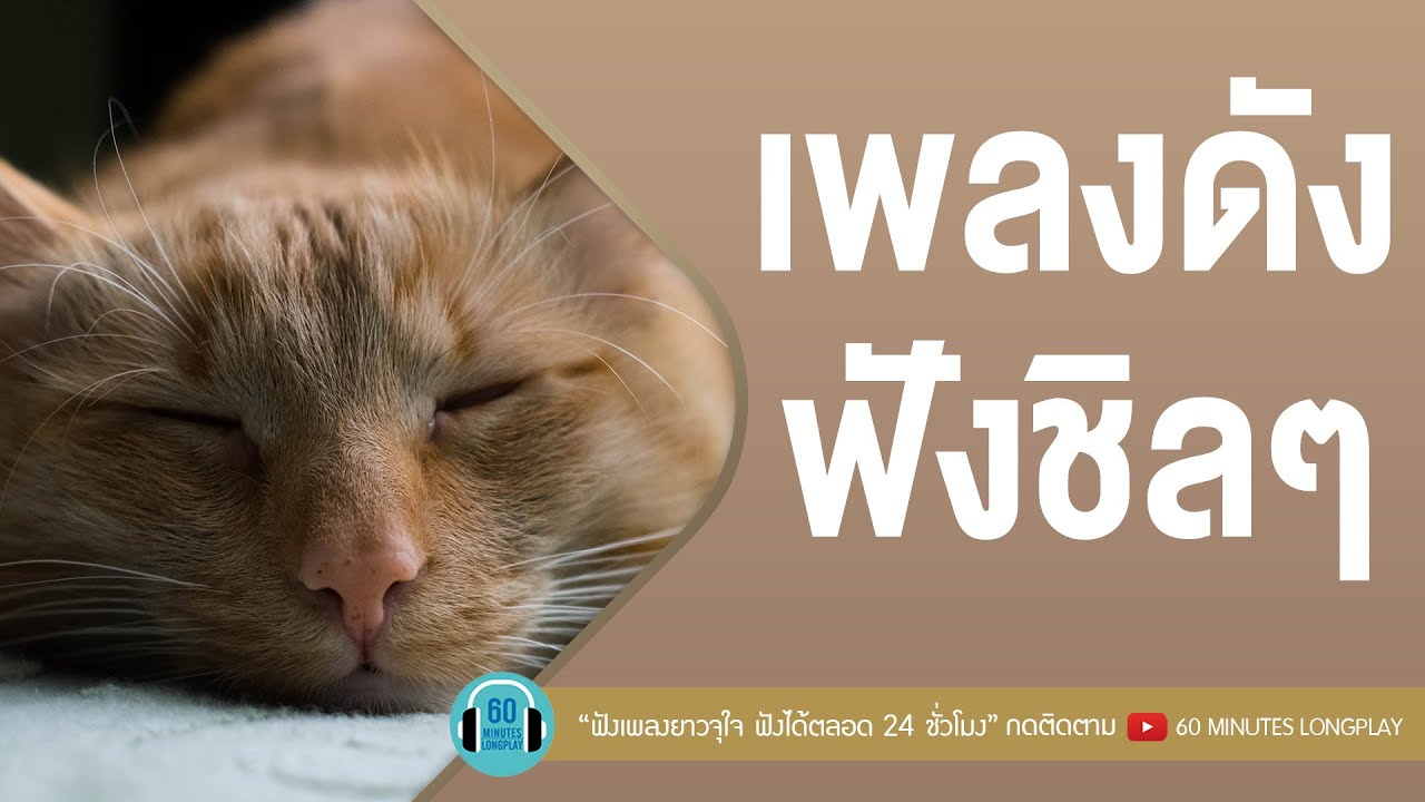 เพลงดัง ฟังชิลๆ work from home [มีแฟนแล้ว,โรคประจำตัว,คุณและคุณเท่านั้น,พลังงานจน]