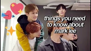 important things you need to know about mark lee