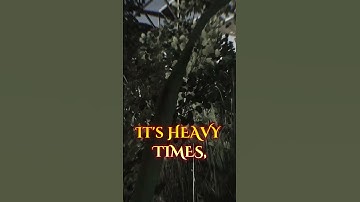 Please Lord, Protect my body and let me complete Capturing Outposts! #escapefromtarkov  #shorts