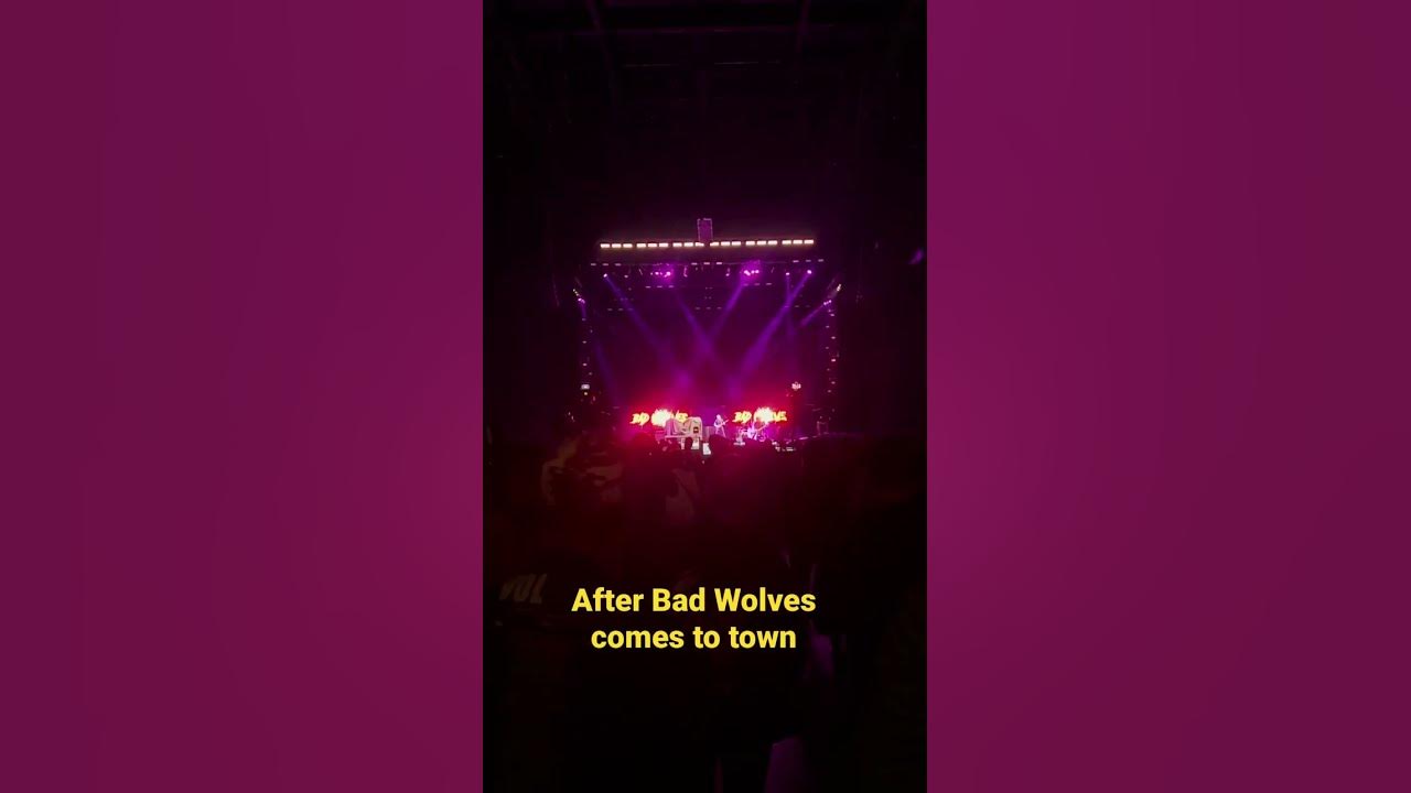 We love our Wolf Pack 🤘🏻 #fyp  #beforeandafter #livemusic #concert