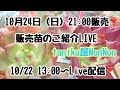 10月24日（日）21時販売❣️販売苗のご紹介ライブ❣️