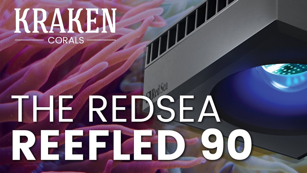 Red Sea ReefLED 90, R35120GBR at Kraken Corals