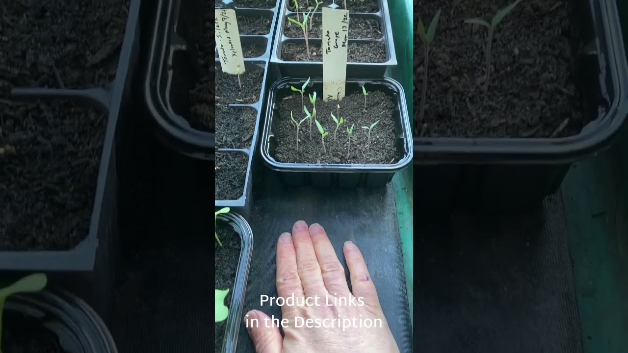 How I Use Heat Mats To Start Seeds In My Unheated Greenhouse Every Spring