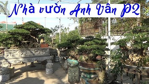 Chia Sẻ Vườn Cảnh Anh Vân Quỳnh Phụ TB - Video 02