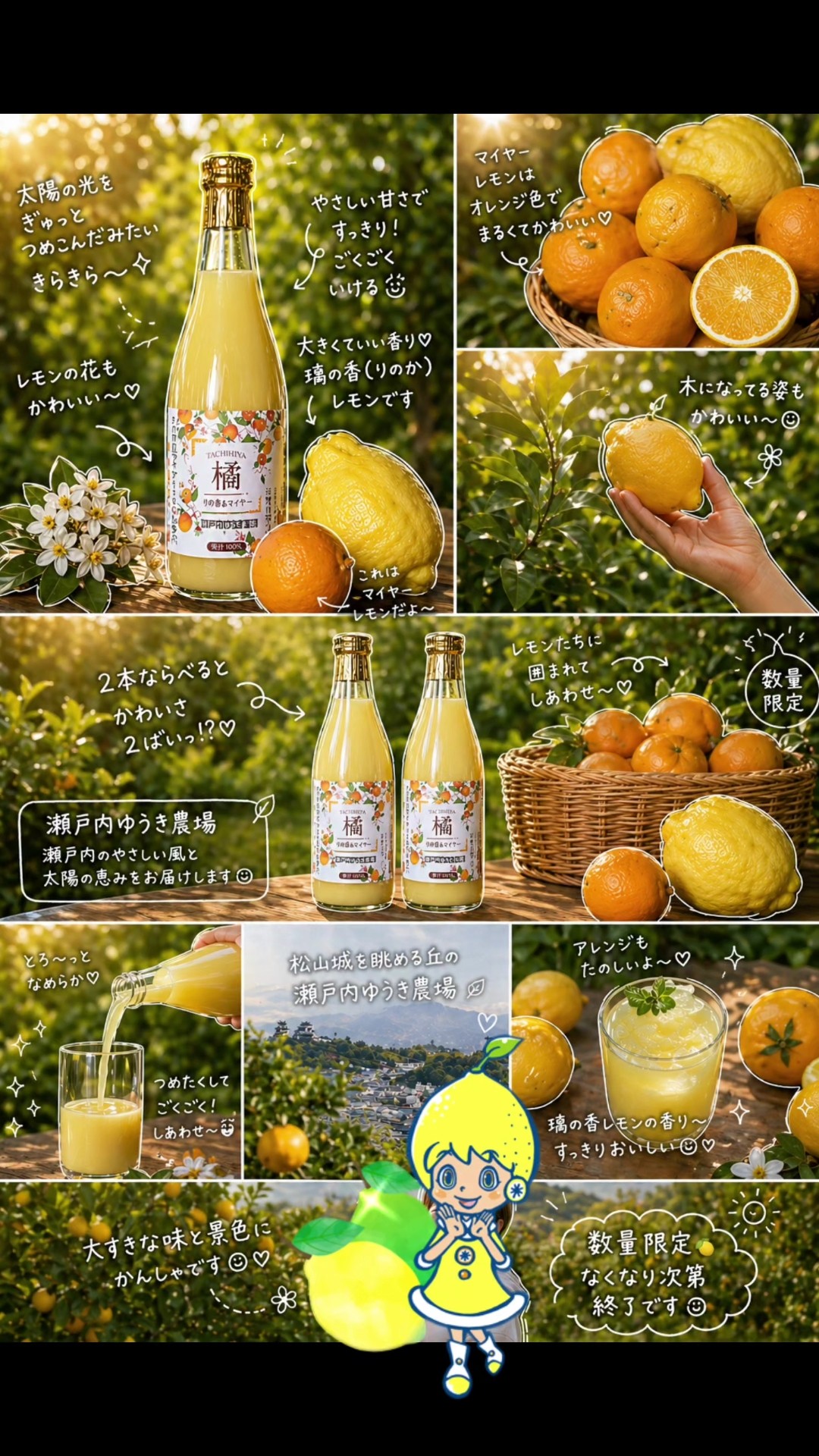 レモン🍋商品 ご案内】璃の香×マイヤーレモン100%果汁🍋数量限定