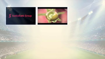 Jeffawni Digital resume