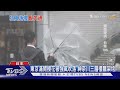 東京滿開櫻花被強風吹落 神奈川三層樓鷹架垮｜TVBS新聞 @TVBSNEWS01