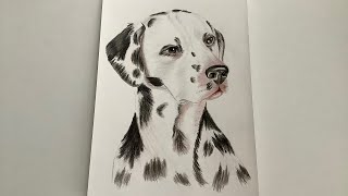 Come disegnare un cane. Con le matite colorate. Per i principianti. screenshot 1