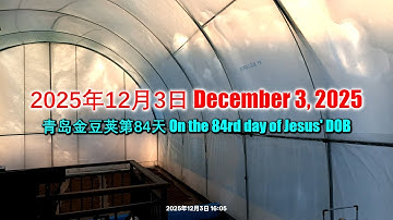 PyraPOD with iAVs in Qingdao (84): Day 34 after PyraPOD Pentecost