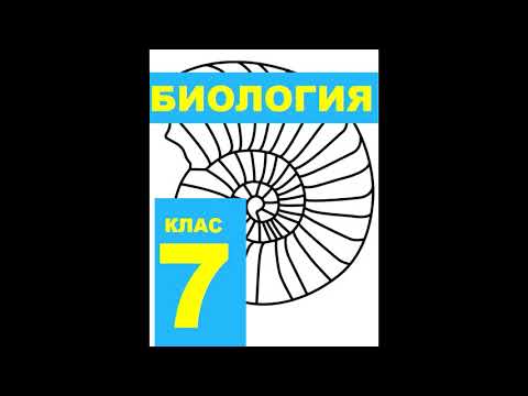 § 19 Рыбы и их значение, условия обитания