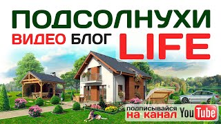 Подсолнухи LIFE - Видео блог. ГАЗ и вода в многодетный поселок Подсолнухи