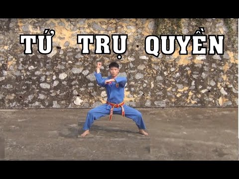 Video Vovinam - TỨ TRỤ QUYỀN LAM ĐAI 3 HƯỚNG DẪN ĐÁNH CHẬM... - youtube