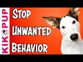 How to STOP Unwanted Behavior WITHOUT Intimidation