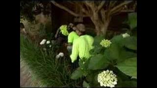 Wesley Gardening - Successful disability employment