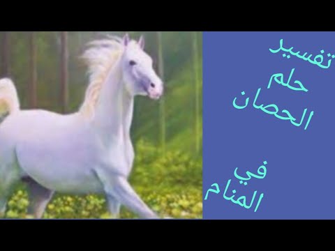 تفسير حلم الخيل او الحصان في المنام للعزباء وللمرأه المتزوجه والحمل والمطلقه والارمله وللرجل
