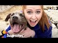 Sick Girl Meets Dog Who Completely Changes Her Life | The Dodo Soulmates