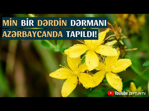 Min bir dərdin dərmanı Azərbaycanda tapıldı!