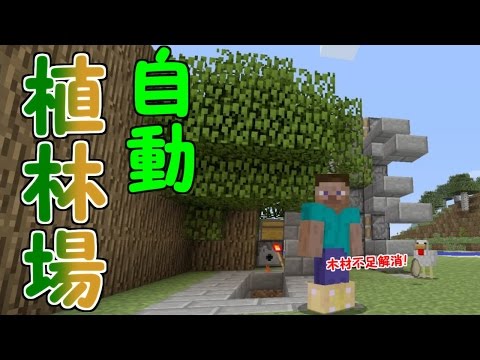 マイクラ 超簡単 自動植林場作り これで木材不足解消 パート７４ Ps4ゆっくり実況 Youtube