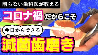 【9割の人はできてない！減菌歯磨き】コロナやウィルスを口の中から体内になるべく入れない！歯みがき、歯ブラシを正しくやることで自分の体を守ろう