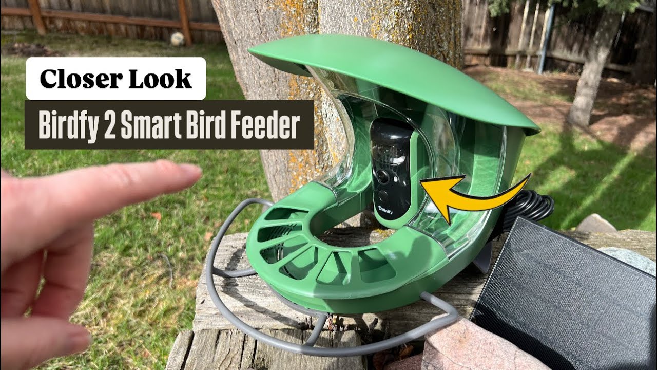 Solar-Powered, AI-Powered Birdwatching! Birdfy 2 Smart Bird Feeder with Camera 