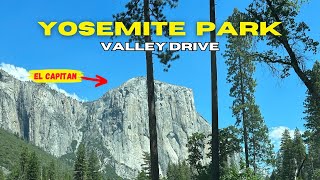 PARKING CHAOS AT YOSEMITE NATIONAL PARK VALLEY! 🤯🤯🤯 PERFECT VIEW AT EL CAPITAN! SOUTH SIDE DRIVE