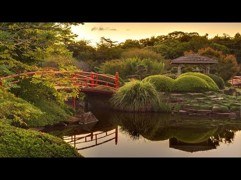 Musique Relaxante - Jardin Relaxante - Méditation