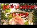 Gurukul prabhat ashram meerut tikiri 