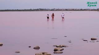 Сакское лечебное розовое озеро